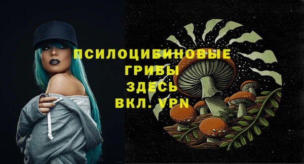 крисы Абинск