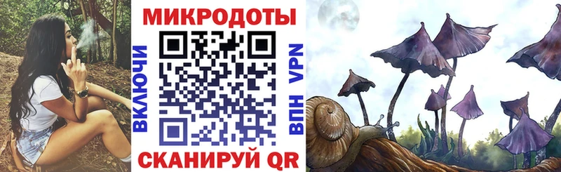 Псилоцибиновые грибы MAGIC MUSHROOMS  наркотики  Усть-Катав 